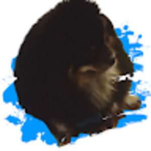 Meet your Posher, Jax